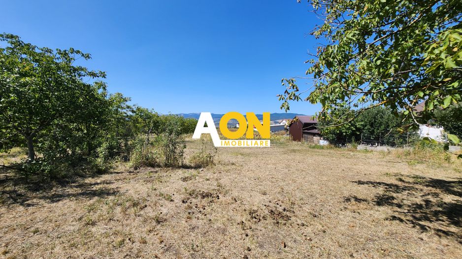 De vanzare teren 10.651mp intravilan, parcelabil, Oarda de Sus - Poză 12