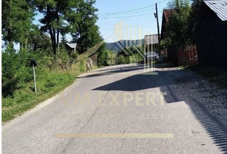 TEREN INTRAVILAN 5000 MP, BRADULET, ARGES - Poză 2