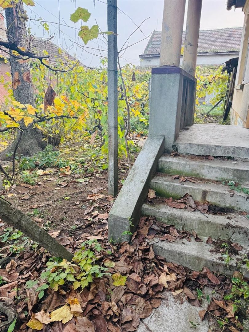 Casa Diosig + Cinematograf si teren - Poză 2