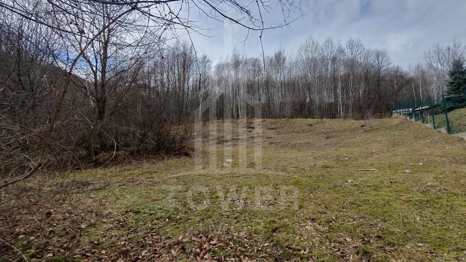 Teren Intravilan 2.938 mp | Tocile - Poză 6