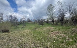 TEREN INTRAVILAN 4365 MP POENARII DE MUȘCEL  JUDEȚUL ARGES - Poză 2