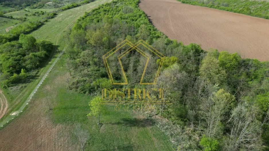 Casa de vacanta cu teren si padure de 3.8ha | Nadas | Herneacova - Poză 9