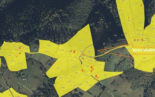 Teren Moieciu zona Pestera | Utilitati | 4.807 mp - Poză 6