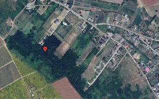 Teren 2 ha Sorogari – deschidere la drum, oportunitate investiție Iași - Poză 4