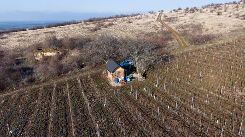 Vita-de-vie Premium  teren de 6800 mp în Covăsinț - Poză 7