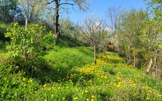 Casa cu patru camere in zona Chizid - Poză 15