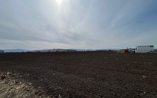 Teren intravilan de vânzare – 10.000 mp – Zona Industrială Vest | Comision 0% - Poză 2