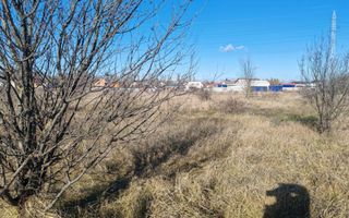 Teren Joita -  Bacu - Dragomiresti - Poză 5