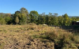 TEREN INTRAVILAN, CAMPULUNG,  2691 MP - Poză 7