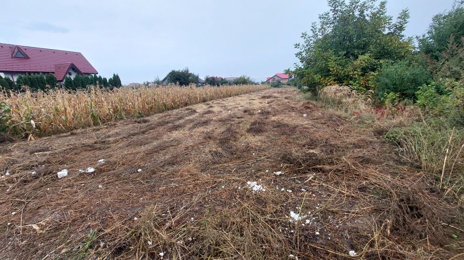 Teren intravilan de vânzare Măgura, zona Farbe - Poză 1