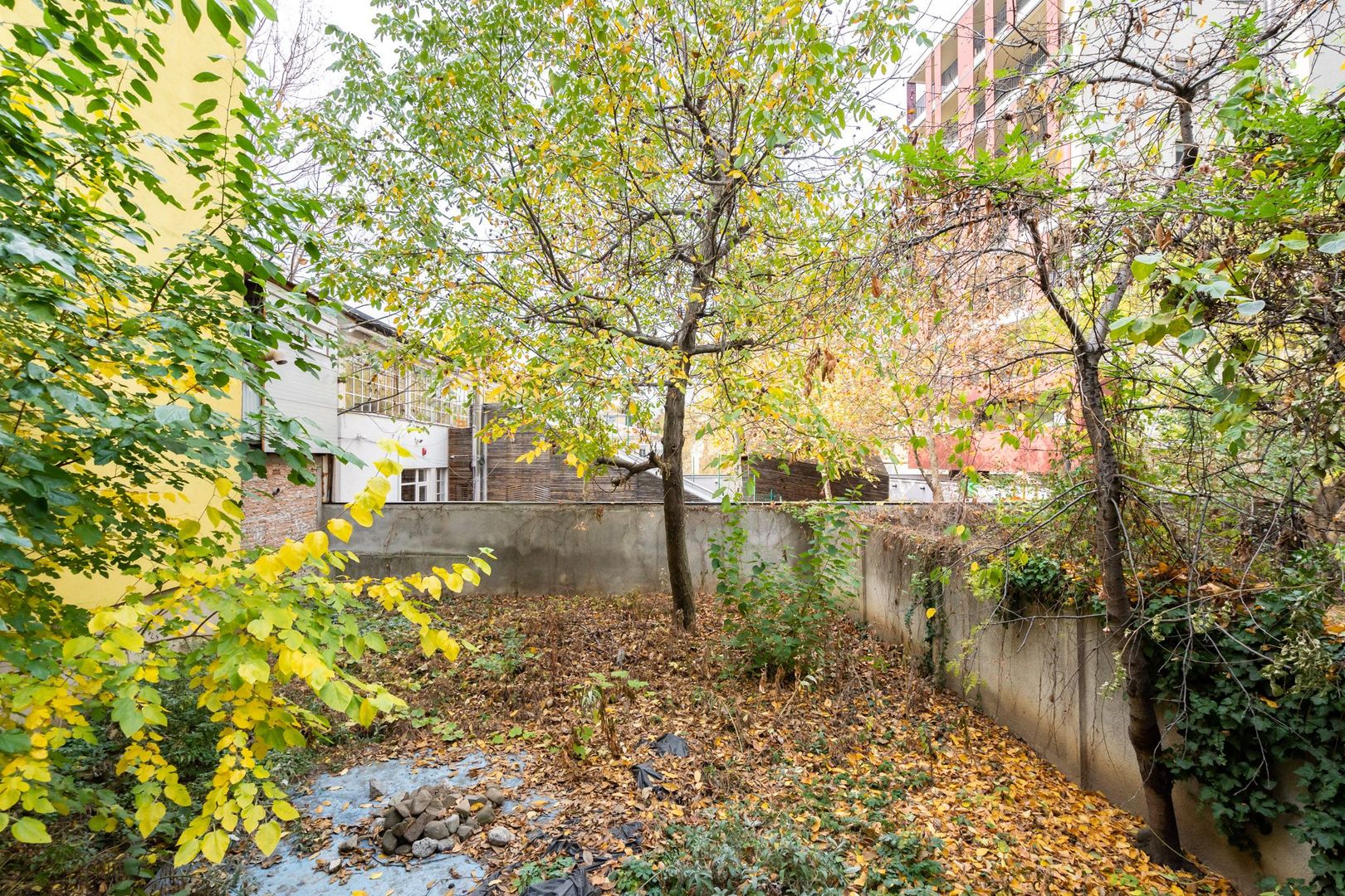 OPORTUNITATE CLADIRE D+P+2 LASCAR CATARGIU | VICTORIEI - Poză 11