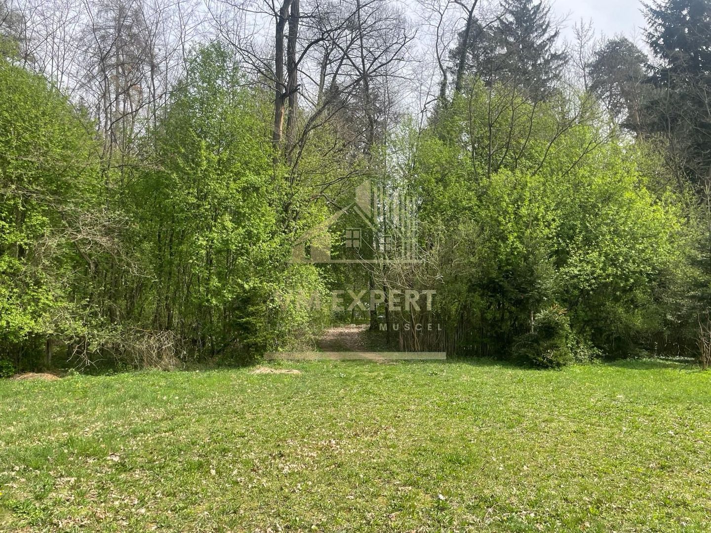 TEREN INTRAVILAN 1800 MP MIHAESTI ARGES COMISION 0 - Poză 1