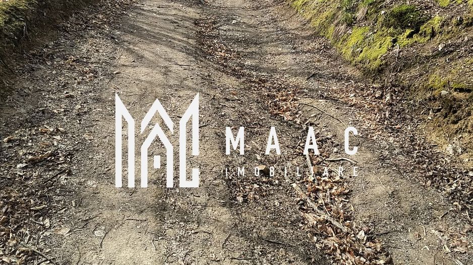 Un colt de rai in Apuseni I viața ca pe vremuri - Poză 5