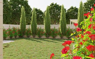 Duplex deosebit în Dumbravita - Poză 6