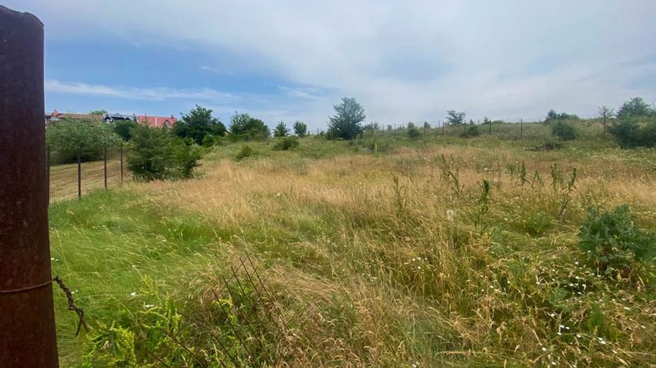 Teren Intravilan de vanzare 3778 mp Branesti Strada Violetelor - Poză 14