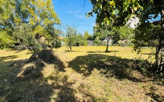 TEREN INTRAVILAN 3234 MP LEREȘTI VOINEȘTI ARGEȘ - Poză 1