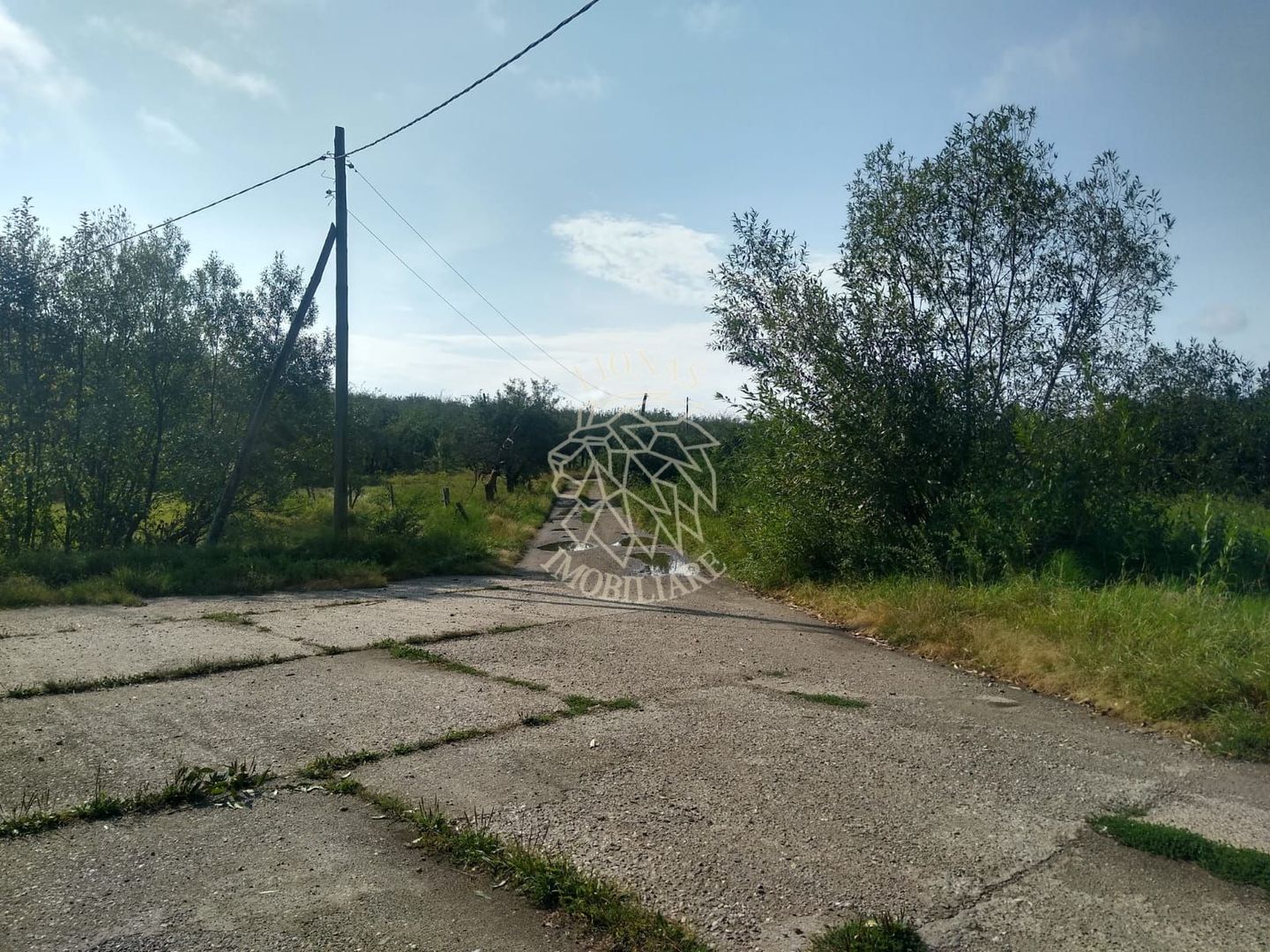 Teren 1500 mp - pretabil cabana/investitie - Zona Valea Rusului - Poză 3