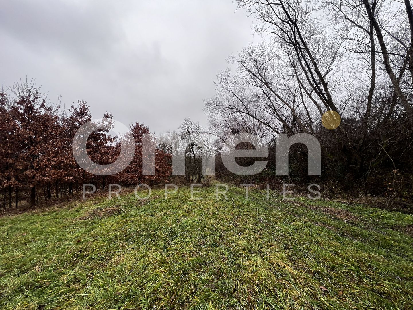 Teren intravilan | 30 ari | front stradal 50 m | investitie ideala | Mocira. - Poză 2