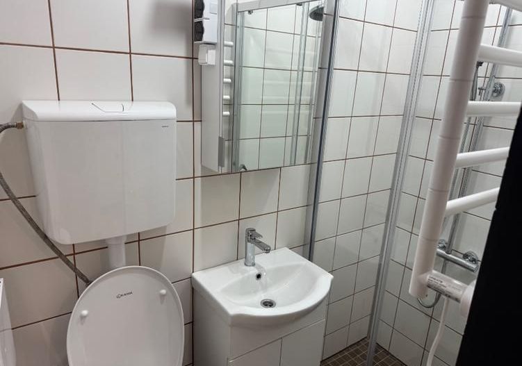 Soarelui-Cerna | 1 Camera | Recent renovata | Etaj 2 | Mobilat si Utilat - Poză 6