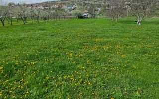 Teren intravilan de vanzare in Tomesti, Chicerea – 2 parcele cu utilitati in zona - Poză 5