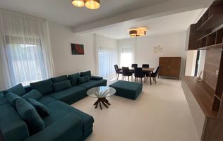 Casa moderna în Dumbravita - Ikea cu garaj