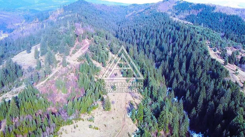 Teren 8 ha cu 15 izvoare minerale, lângă Câmpulung Argeș - Poză 2