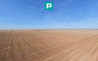 Teren agricol cu suprafața de 29.900 mp - Poză 7