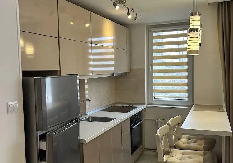 Apartament superb 2 camere, Bălcescu, mobilat complet, balcon, fara risc seismic - Poză 9