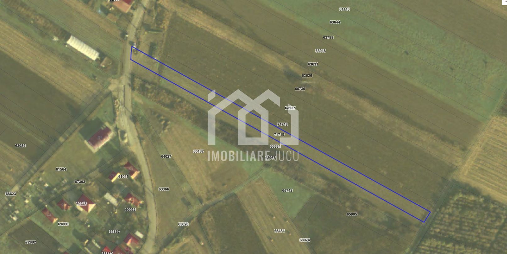 Teren Intravilan 2900mp - Jucu de Mijloc - Poză 3