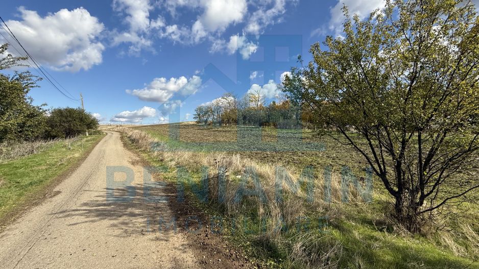 Teren intravilan - 1000mp - utilitati - deschidere mare - Mischii - Poză 3