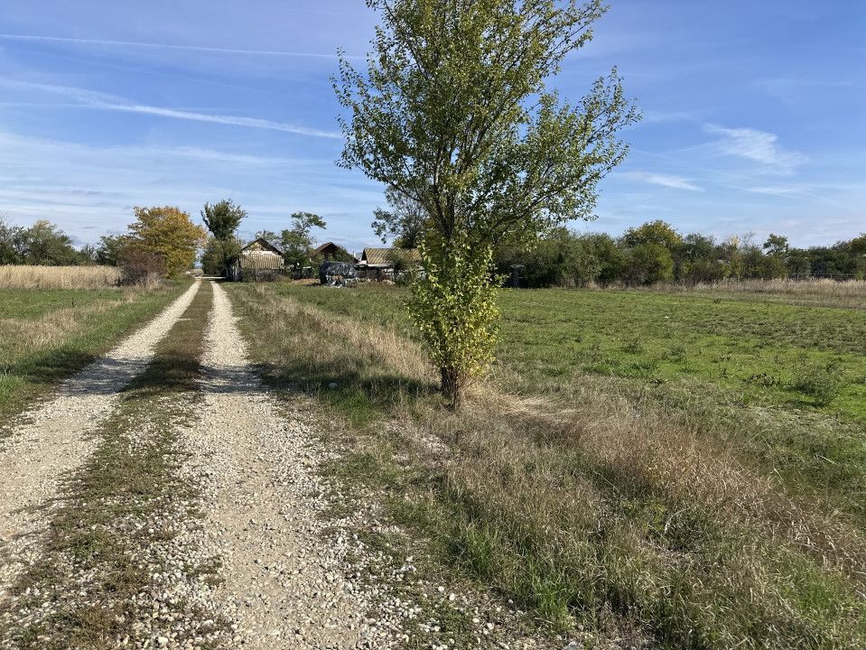 Teren intravilan 3700 mp la 28 km de Pitesti  - zona linistita - Poză 4