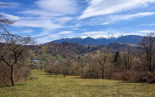TEREN 11.500 MP + CASA AUTHENTICA ÎN BRAN – ȘIMON | VEDERE BUCEGI - Poză 5