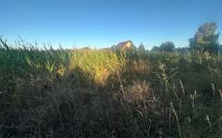 Teren Siret E85 | 2500MP | Toate Utilitățile - Poză 2