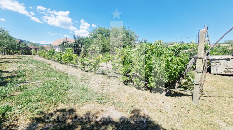 Casa cu gradina in Cricau - Poză 9