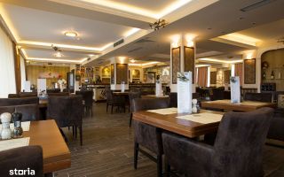 HOTEL DE VANZARE - Poză 10