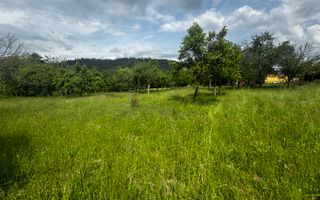 TEREN INTRAVILAN 4600 MP, VOINESTI, LERESTI, ARGEȘ - Poză 9