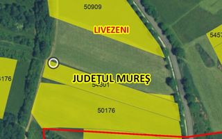 Teren intravilan -Sânișor- 8700 mp - Poză 4