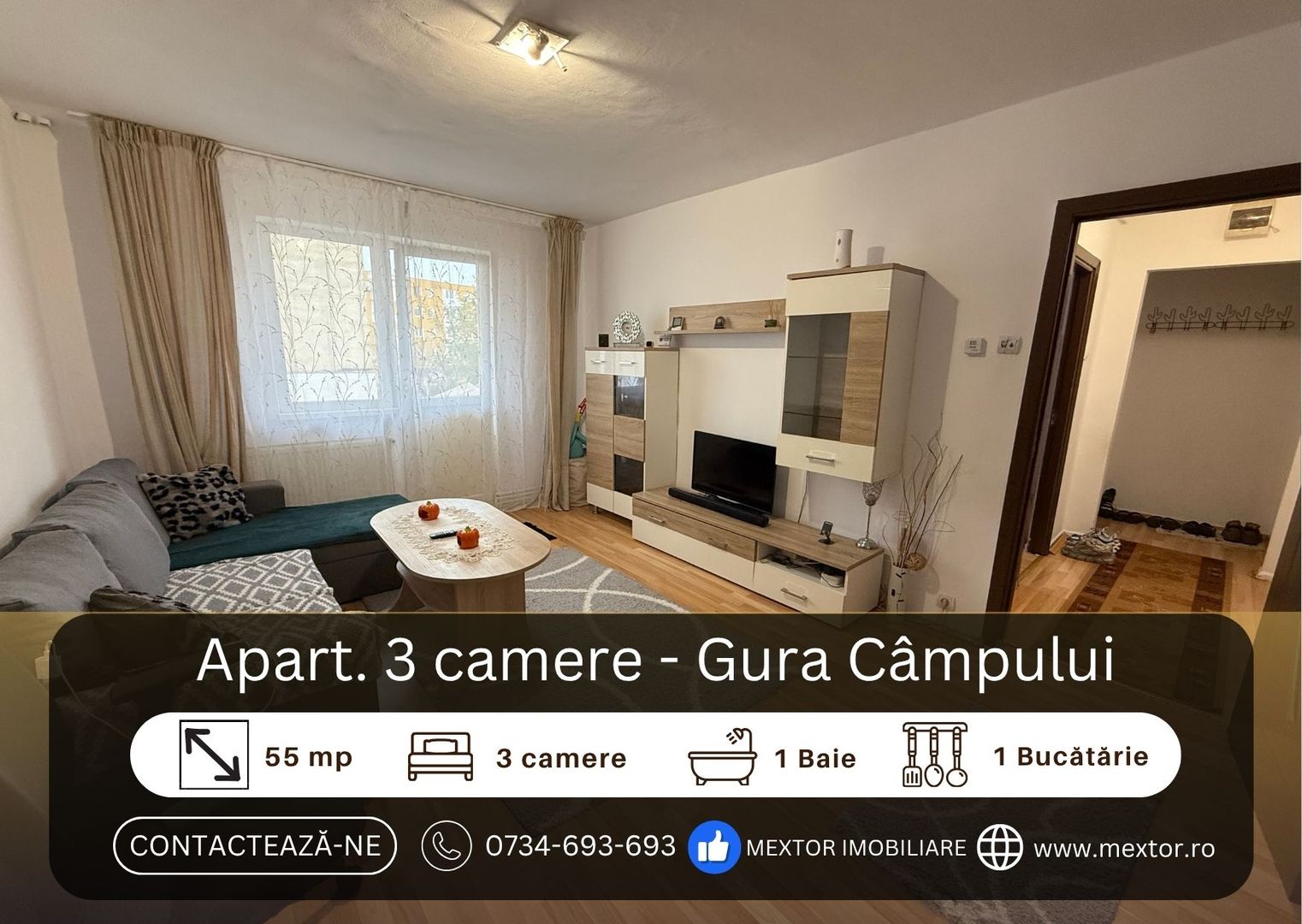 Apartament 3 camere, Medias - Poză 1