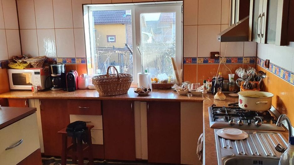 Casă / Pensiune de vânzare – Balta, Gorj  - Poză 11