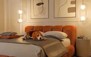 COMISION 0% | Casa Individuala | Zona Mosnita Noua | 4 Camere | - Poză 17