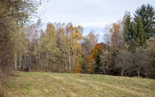 Teren intravilan, cu PUZ, Bran Tohanita,  SE ACCEPTĂ ȘI SCHIMB - Poză 6