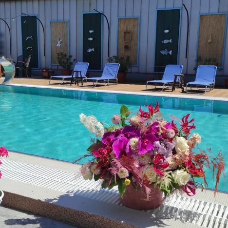 Pensiunea Lotca,o pensiune de vis! - Poză 16