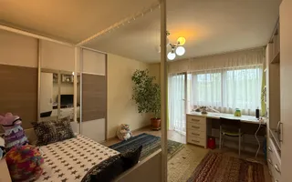 Casa deosebita 6 camere Faget cu teren generos de 1100 m2 - Poză 23