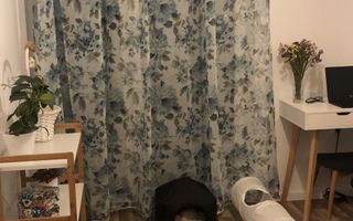 Apartament 3 camere, Sânnicoara – mobilat, parcare inclusă - Poză 5