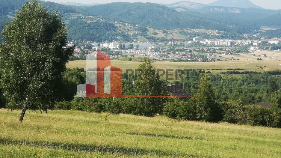 Teren Intravilan 1.500 mp | Vedere Panoramică| Tohanita - Poză 7