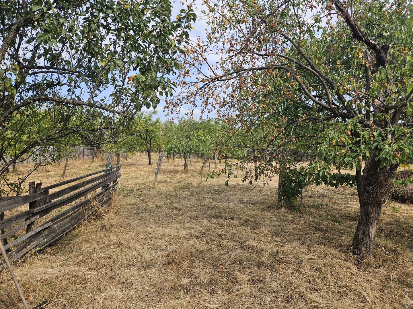 Vanzare teren pentru casa, Moraresti - Poză 4