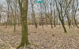 Teren pe malul Mureșului- oportunități multiple - Poză 30