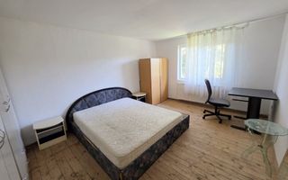 Casa individuala 3 camere, 323 mp teren,  Centru, zona Lipoveni - Poză 9