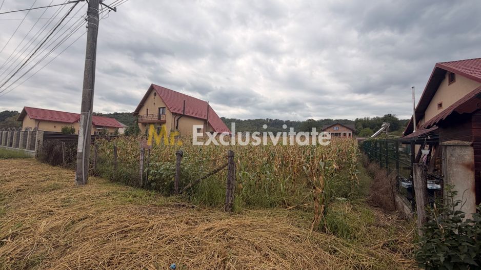 Teren pretabil unei construcții de vis - Băbana - zonă cu pădure - Poză 1