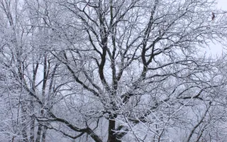 Teren de vanzare I izvor apă minerală  Dangești I 2 Hectare - Poză 33